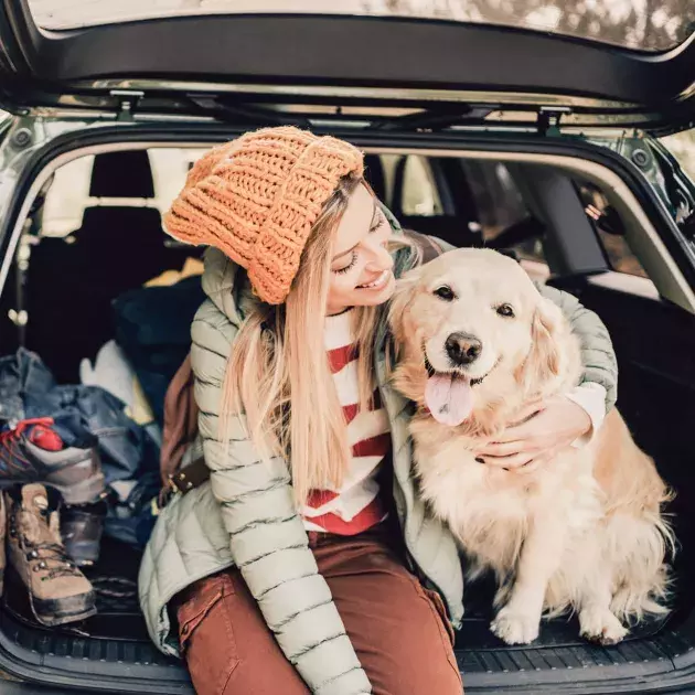animal en voiture